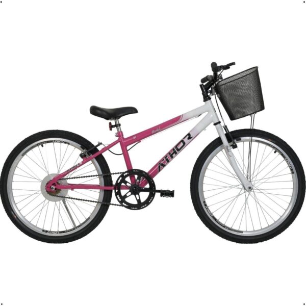 Bicicleta Aro 24 Mtb S/marcha Model Feminina Com Cestinha